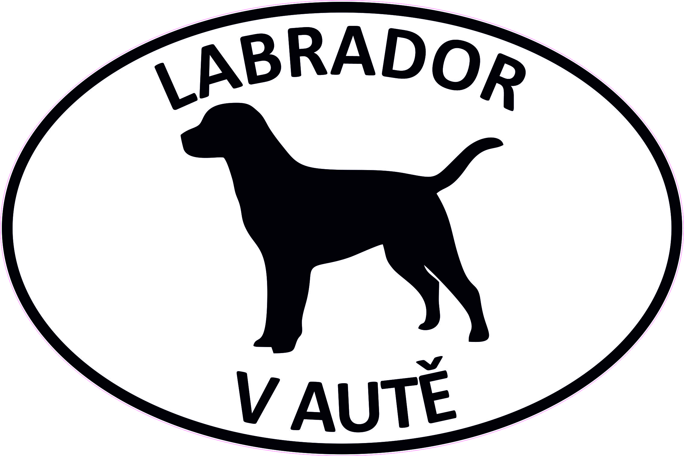 Samolepka 10x15 cm s motivem labradora a textem Labrador v autě